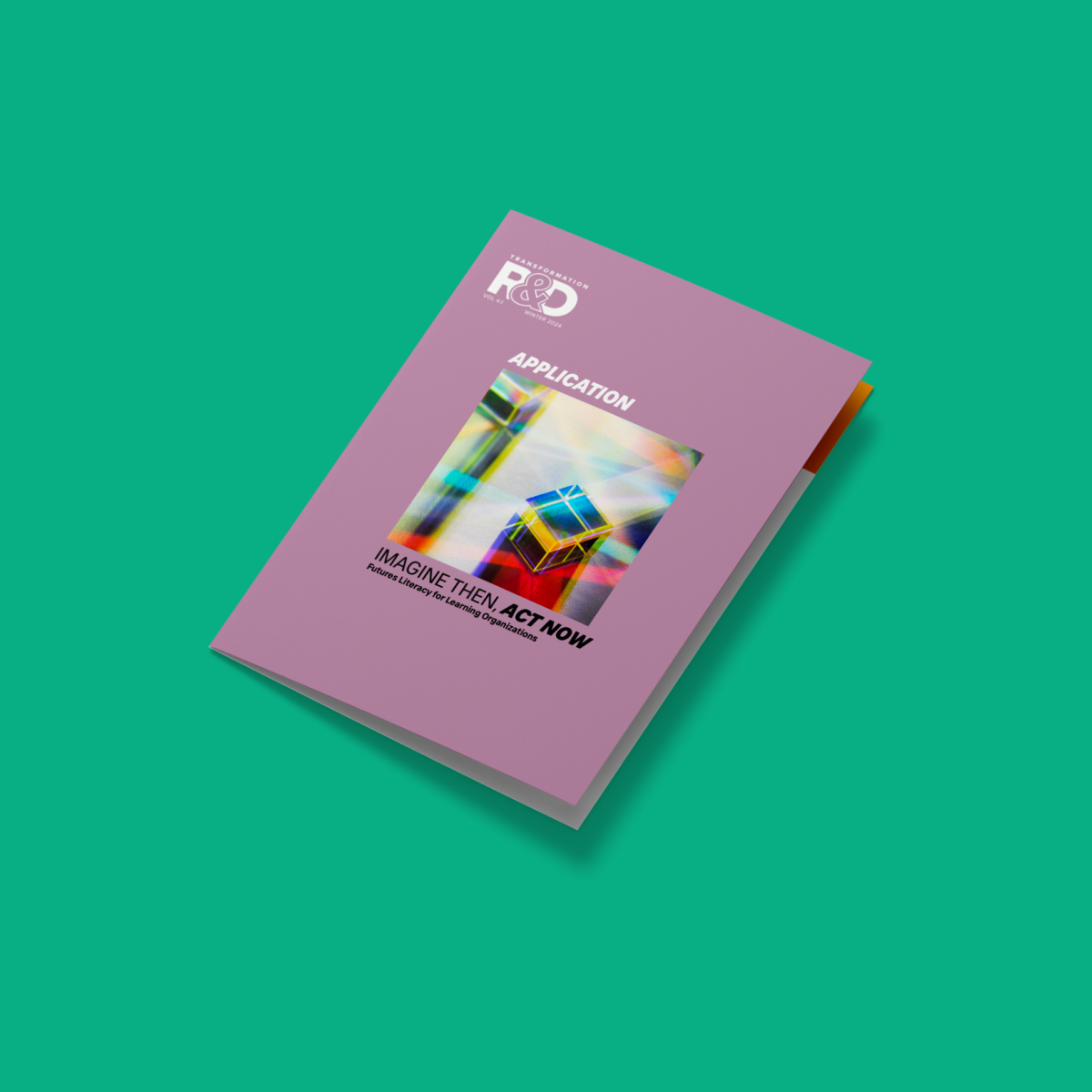 Spring 2024 Transformation Application Report